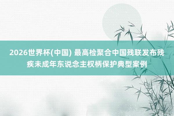 2026世界杯(中国) 最高检聚合中国残联发布残疾未成年东说念主权柄保护典型案例