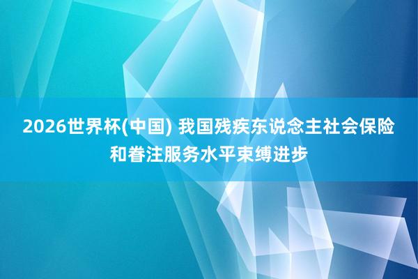 2026世界杯(中国) 我国残疾东说念主社会保险和眷注服务水平束缚进步