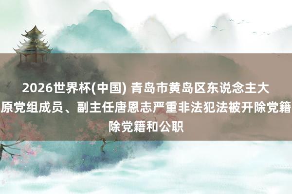 2026世界杯(中国) 青岛市黄岛区东说念主大常委会原党组成员、副主任唐恩志严重非法犯法被开除党籍和公职