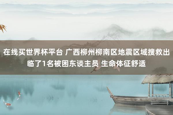在线买世界杯平台 广西柳州柳南区地震区域搜救出临了1名被困东谈主员 生命体征舒适