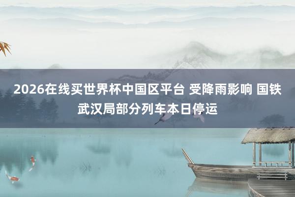 2026在线买世界杯中国区平台 受降雨影响 国铁武汉局部分列车本日停运