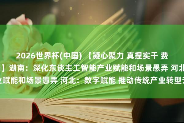 2026世界杯(中国) 【凝心聚力 真捏实干 费力兑现“十五五”邃密开局】湖南:深化东谈主工智能产业赋能和场景愚弄 河北:数字赋能 推动传统产业转型升级