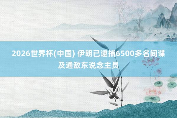 2026世界杯(中国) 伊朗已逮捕6500多名间谍及通敌东说念主员