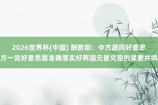 2026世界杯(中国) 酬酢部:中方愿同好意思方一完好意思面准确落实好两国元首兑现的紧要共鸣