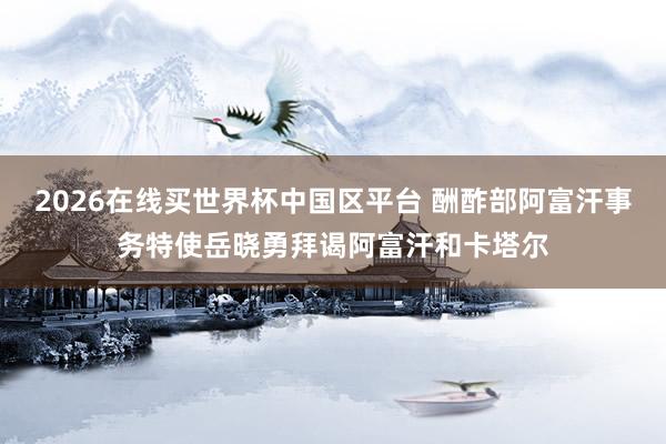 2026在线买世界杯中国区平台 酬酢部阿富汗事务特使岳晓勇拜谒阿富汗和卡塔尔