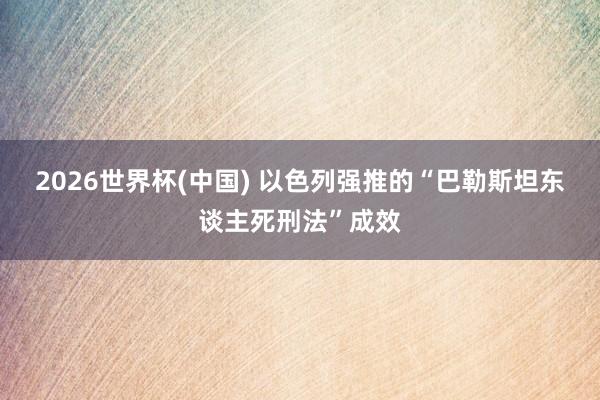 2026世界杯(中国) 以色列强推的“巴勒斯坦东谈主死刑法”成效