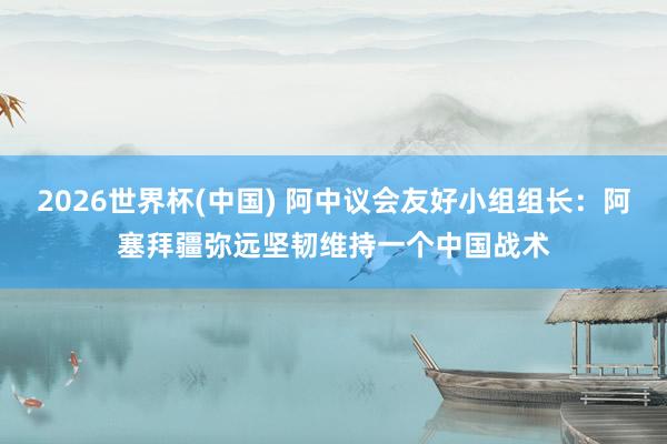 2026世界杯(中国) 阿中议会友好小组组长:阿塞拜疆弥远坚韧维持一个中国战术