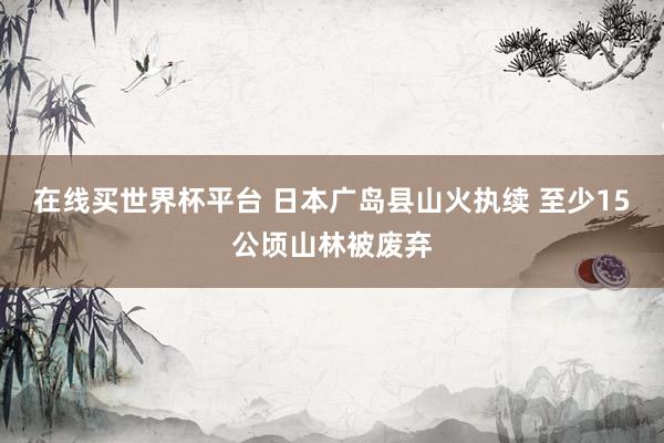 在线买世界杯平台 日本广岛县山火执续 至少15公顷山林被废弃