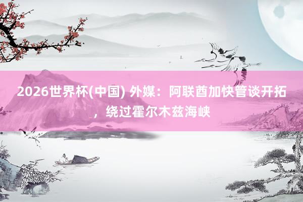 2026世界杯(中国) 外媒:阿联酋加快管谈开拓,绕过霍尔木兹海峡