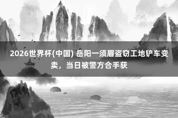 2026世界杯(中国) 岳阳一须眉盗窃工地铲车变卖，<a href=