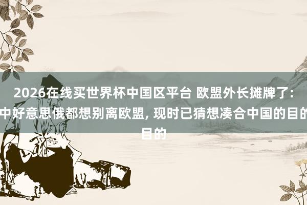 2026在线买世界杯中国区平台 欧盟外长摊牌了: 中好意思俄都想别离欧盟, 现时已猜想凑合中国的目的