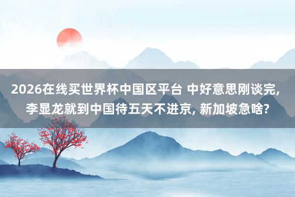2026在线买世界杯中国区平台 中好意思刚谈完, 李显龙就到中国待五天不进京, 新加坡急啥?