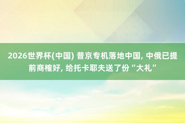 2026世界杯(中国) 普京专机落地中国, 中俄已提前商榷好, 给托卡耶夫送了份“大礼”