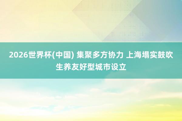 2026世界杯(中国) 集聚多方协力 上海塌实鼓吹生养友好型城市设立
