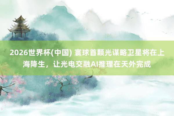 2026世界杯(中国) 寰球首颗光谋略卫星将在上海降生,让光电交融AI推理在天外完成