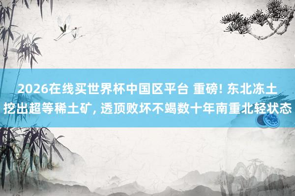 2026在线买世界杯中国区平台 重磅! 东北冻土挖出超等稀土矿， 透顶败坏不竭数十年南重北轻状态