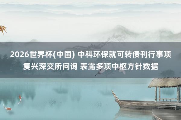 2026世界杯(中国) 中科环保就可转债刊行事项复兴深交所问询 表露多项中枢方针数据
