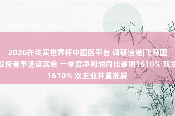 2026在线买世界杯中国区平台 调研速递|飞马国外理财线上投资者事迹证实会 一季度净利润同比暴增1610% 双主业并重发展