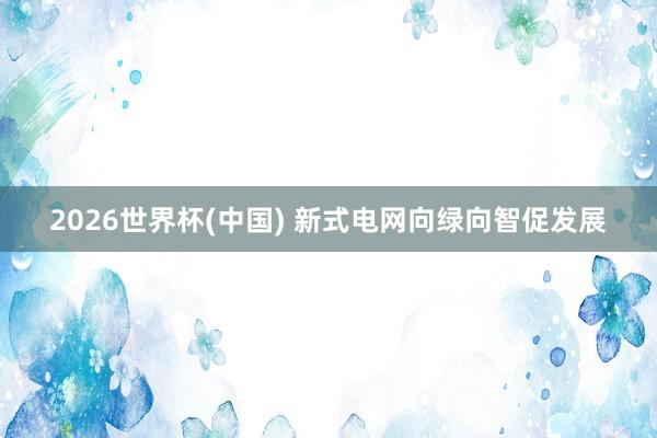 2026世界杯(中国) 新式电网向绿向智促发展