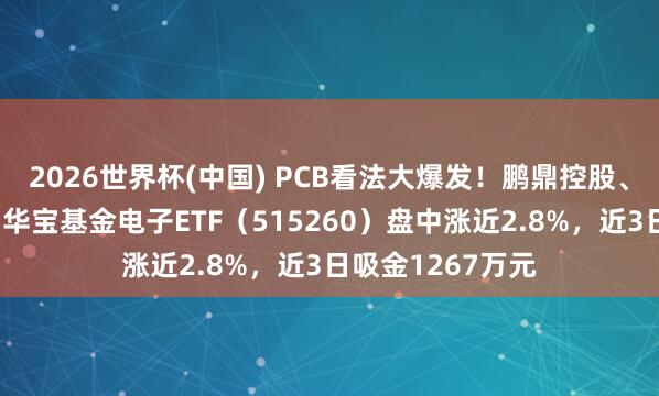 2026世界杯(中国) PCB看法大爆发!鹏鼎控股、生益科技涨停,华宝基金电子ETF(515260)盘中涨近2.8%,近3日吸金1267万元