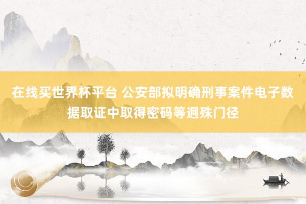 在线买世界杯平台 公安部拟明确刑事案件电子数据取证中取得密码等迥殊门径