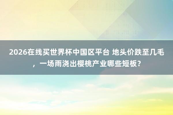 2026在线买世界杯中国区平台 地头价跌至几毛,一场雨浇出樱桃产业哪些短板?
