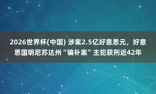 2026世界杯(中国) 涉案2.5亿好意思元,好意思国明尼苏达州“骗补案”主犯获刑近42年