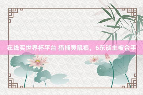 在线买世界杯平台 猎捕黄鼠狼,6东谈主被合手