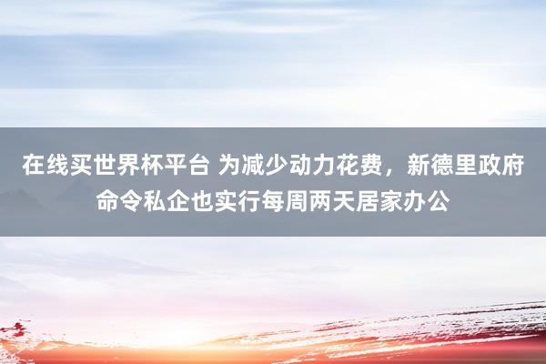 在线买世界杯平台 为减少动力花费,新德里政府命令私企也实行每周两天居家办公