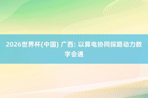 2026世界杯(中国) 广西: 以算电协同探路动力数字会通