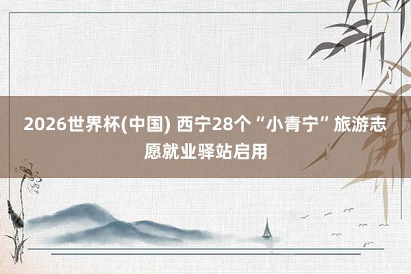 2026世界杯(中国) 西宁28个“小青宁”旅游志愿就业驿站启用