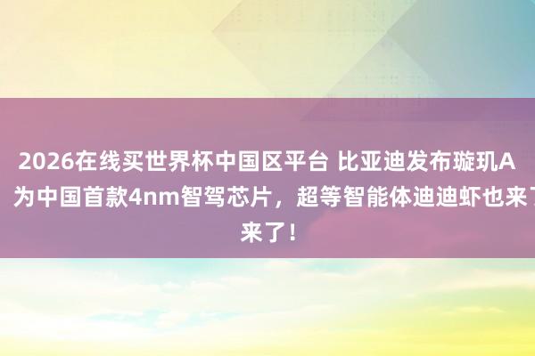 2026在线买世界杯中国区平台 比亚迪发布璇玑A3,为中国首款4nm智驾芯片,超等智能体迪迪虾也来了!