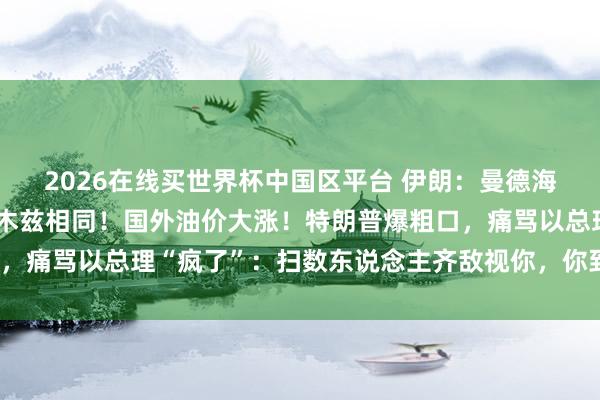 2026在线买世界杯中国区平台 伊朗:曼德海峡或将被管控,与霍尔木兹相同!国外油价大涨!特朗普爆粗口,痛骂以总理“疯了”:扫数东说念主齐敌视你,你到底在干什么?