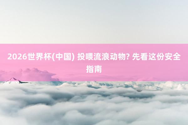 2026世界杯(中国) 投喂流浪动物? 先看这份安全指南