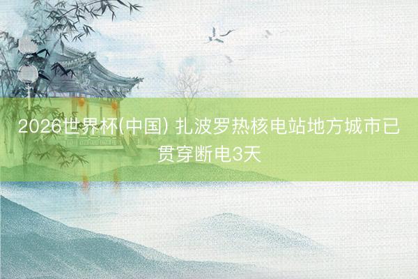 2026世界杯(中国) 扎波罗热核电站地方城市已贯穿断电3天