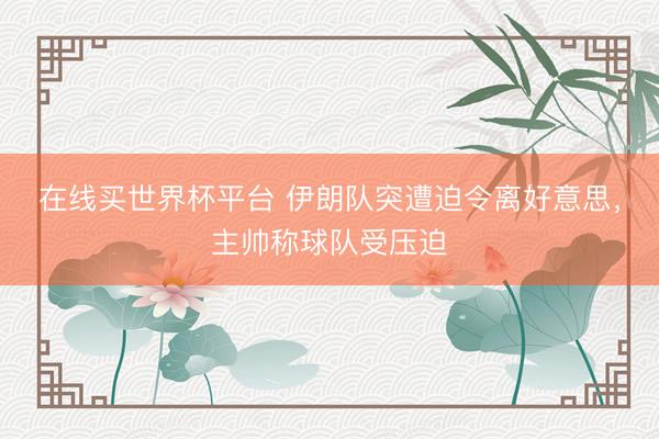 在线买世界杯平台 伊朗队突遭迫令离好意思,主帅称球队受压迫