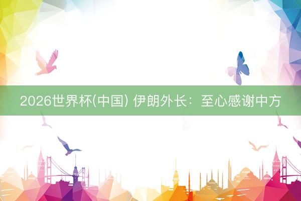 2026世界杯(中国) 伊朗外长:至心感谢中方